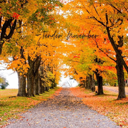 Tender November